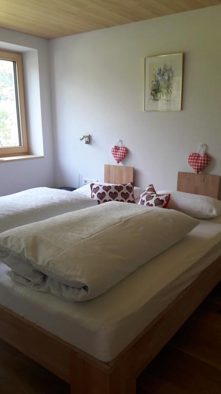 Haus Katharina Apartment Schnepfau Luaran gambar